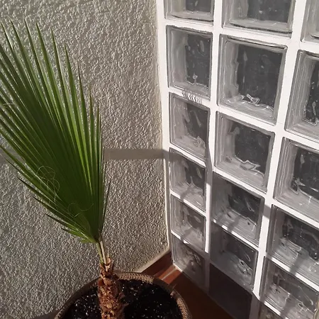 Apartment Orange Tree Balcony Sevilla