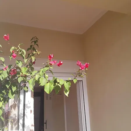 Apartment Orange Tree Balcony