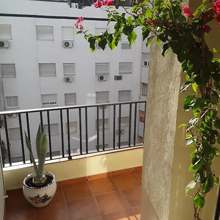 Lejlighed Orange Tree Balcony